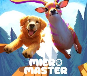 Meiro Master PC Steam Ключ