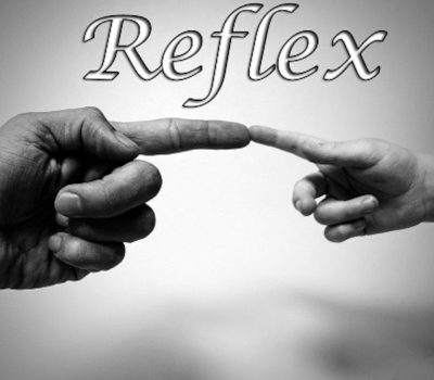 Reflex Steam Ключ