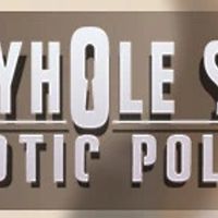 Keyhole Spy: Erotic Police Steam Ключ