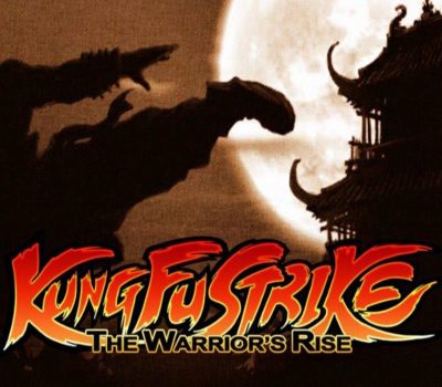 Kung Fu Strike: The Warrior's Rise - Master Level Steam Ключ
