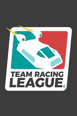 Team Racing League Steam Ключ