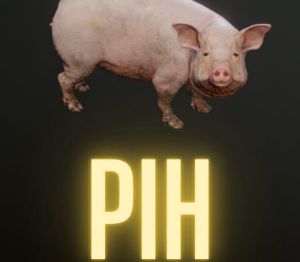 Pih PC Steam Ключ