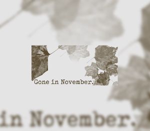 Gone In November PC Steam Ключ