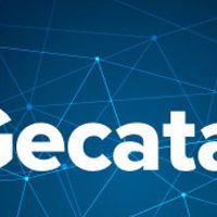Gecata by Movavi 5 - Game Recording Software Steam Ключ