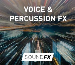 MAGIX Music Maker - Voice & Percussion FX Digital Download Ключ