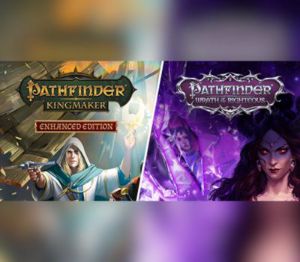 Pathfinder Collector’s издание PC Steam Ключ