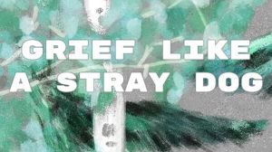 Grief like a stray dog PC Steam Ключ