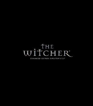 The Witcher: Улучшенное издание Director's Cut Steam Подарок