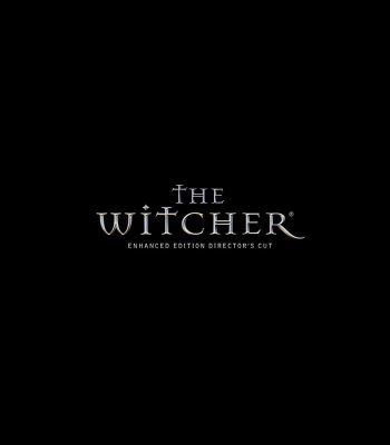 The Witcher: Улучшенное издание Director's Cut Steam Подарок