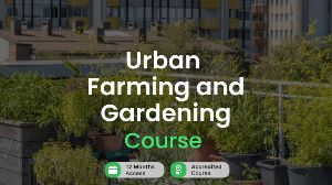 Urban Farming and Gardening Alpha Academy Code