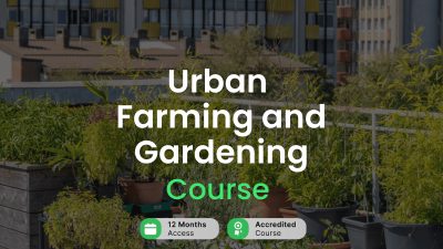 Urban Farming and Gardening Alpha Academy Code