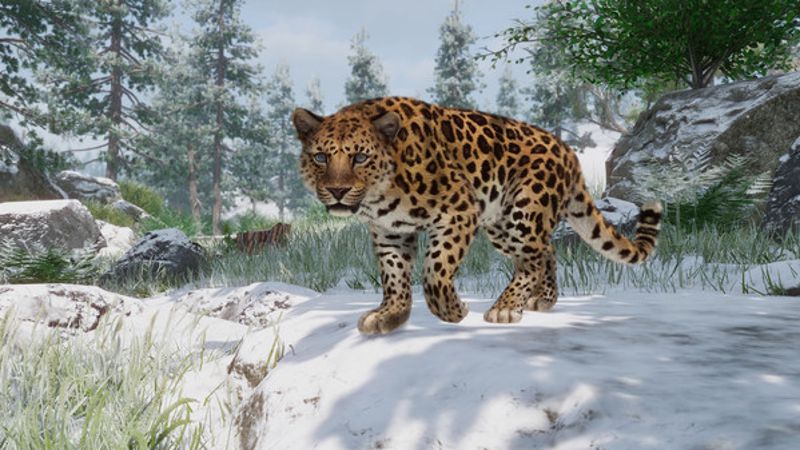 Screenshot 21
