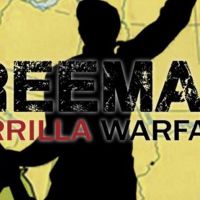 Freeman: Guerrilla Warfare EU PC Steam Альтергифт