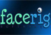 FaceRig Classic EU Steam Ключ