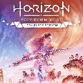 Horizon Forbidden West — Ключи активации