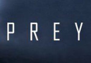 Prey RU VPN Required Steam Ключ