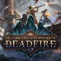 Pillars of Eternity II: Deadfire — Подписка