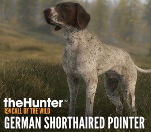 theHunter: Call of the Wild - German Shorthaired Pointer DLC PC Steam Ключ (valid until March, 2027)