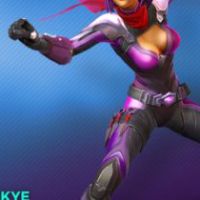Paladins - Operative Skin for Skye Hero Digital Download Ключ
