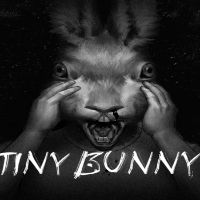 Tiny Bunny PC Steam Аккаунт