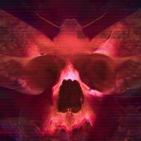 Transient Steam Ключ