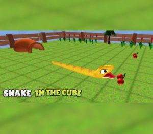 Snake In The Cube Steam Ключ
