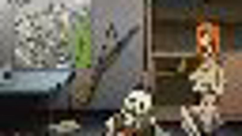 Screenshot 15