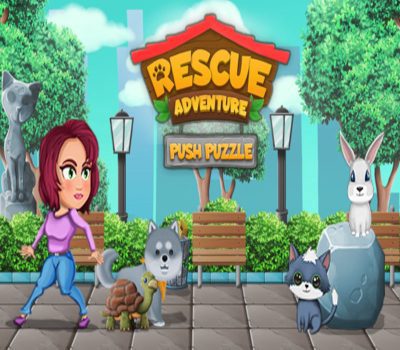 Push Puzzle - Rescue Adventure Steam Ключ