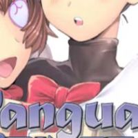 Vanguard Princess Коллекция Steam Ключ