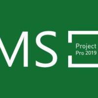 MS Project Professional 2019 Ключ