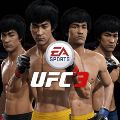 UFC 3 — Ключи активации