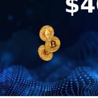 Rewarble Crypto (BTC) USD 400 Подарочная карта
