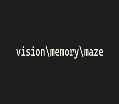 vision\memory\maze Steam CD Key
