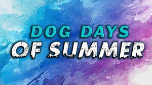 Dog Days of Summer PC Steam Ключ