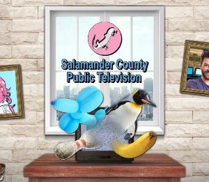 Salamander County Public Television Steam Ключ