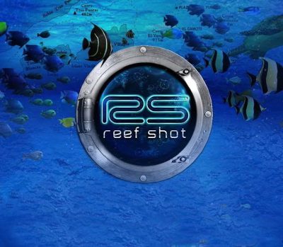 Reef Shot Steam Ключ