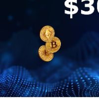 Rewarble Crypto (ETH) USD 300 Подарочная карта