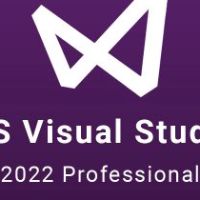 MS Visual Studio 2022 Professional Ключ
