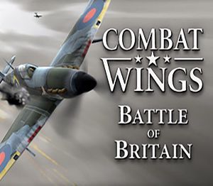 Combat Wings: Battle of Britain EMEA Steam Ключ