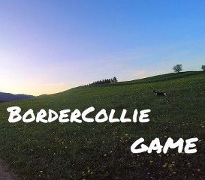 BorderCollie Game Steam Ключ