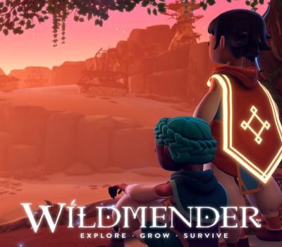 Wildmender Steam Аккаунт