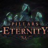 Pillars of Eternity Hero издание EU Steam Ключ