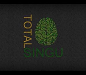 Total Singu Steam Ключ