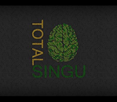 Total Singu Steam Ключ