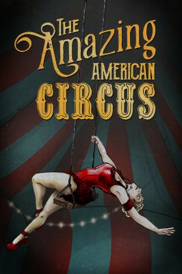 The Amazing American Circus EU Steam Ключ