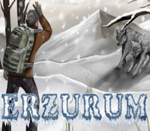 Erzurum Steam Ключ