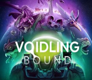Voidling Bound PC Steam Аккаунт
