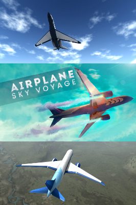 Airplane Sky Voyage Steam Ключ