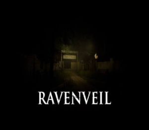 RavenVeil PC Steam CD Key