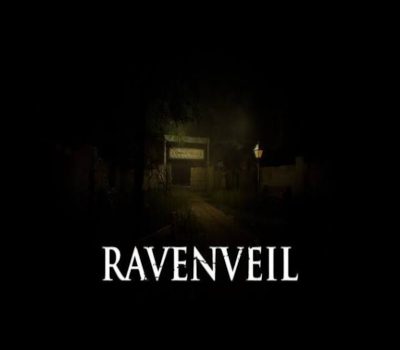 RavenVeil PC Steam Ключ